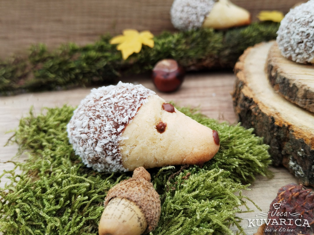 keksici_sa_kokosom_jezici_002